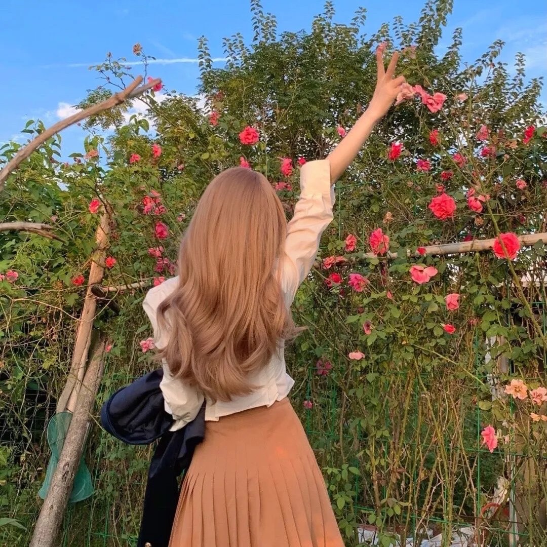 雏菊